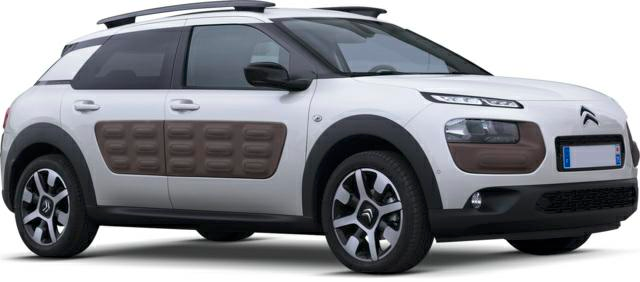 C4 CACTUS