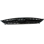 GRIGLIA INT HYUNDAI I10 01/13>