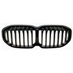 GRIGLIA NERA LUCIDA BMW SERIE 1 F40 07/19>