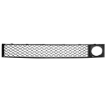 GRIGLIA PARAURTI ANT CENTRALE BMW SER E 7 F01-F02 01/09>C/CRUISE CONTROL